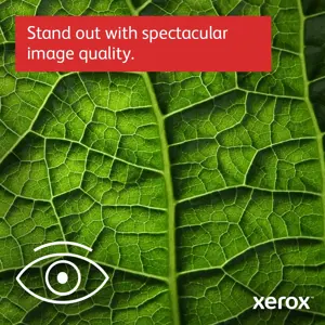 Xerox B 230V/DNI