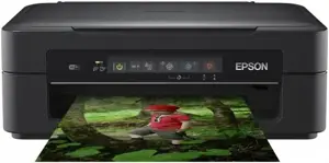 Epson Expression home XP 255