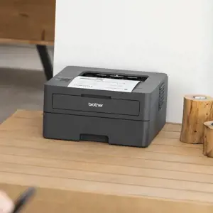 Brother HL L2400DW