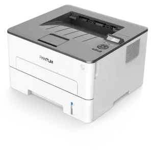 Pantum P 3010DW