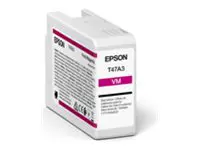 C13T47A30N (T47A3), Printera kārtridžs (Epson)