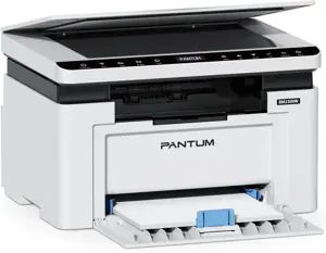 Pantum BM 2309W